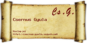 Csernus Gyula névjegykártya